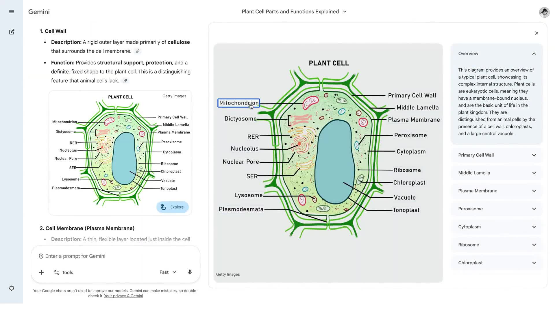Develop a deeper understanding with interactive images in Gemini.